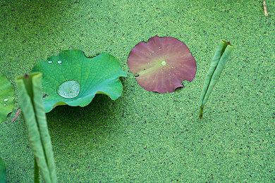 《死或生：女神假期》玲夏生日宣传片 身材太火辣